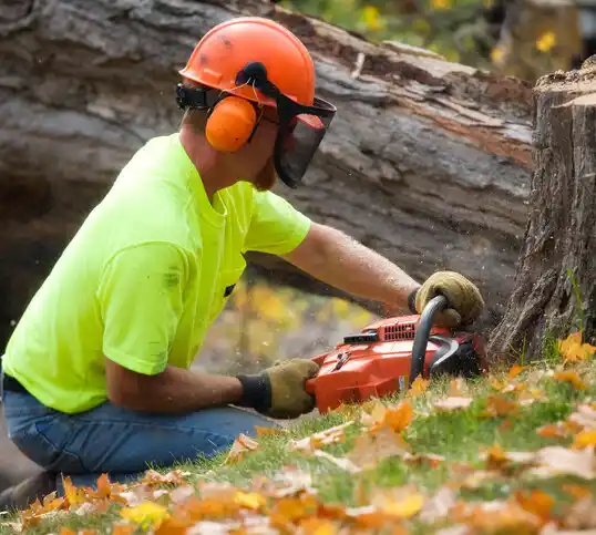 tree services Menahga